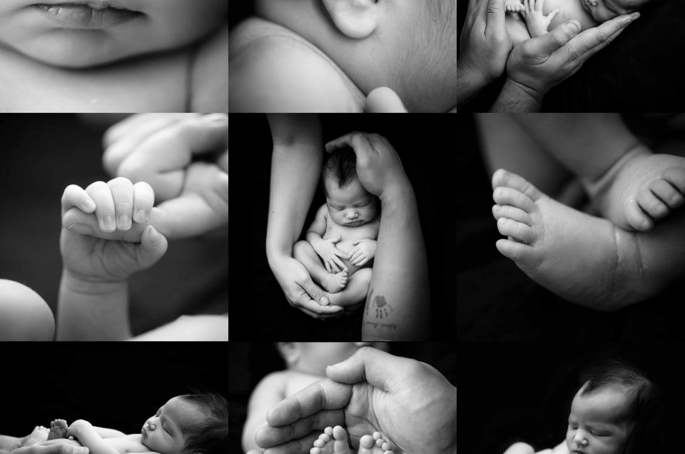 Fine art newborn detail collage with hands, feet and baby close-ups at Sweetlife Studio North Lakes