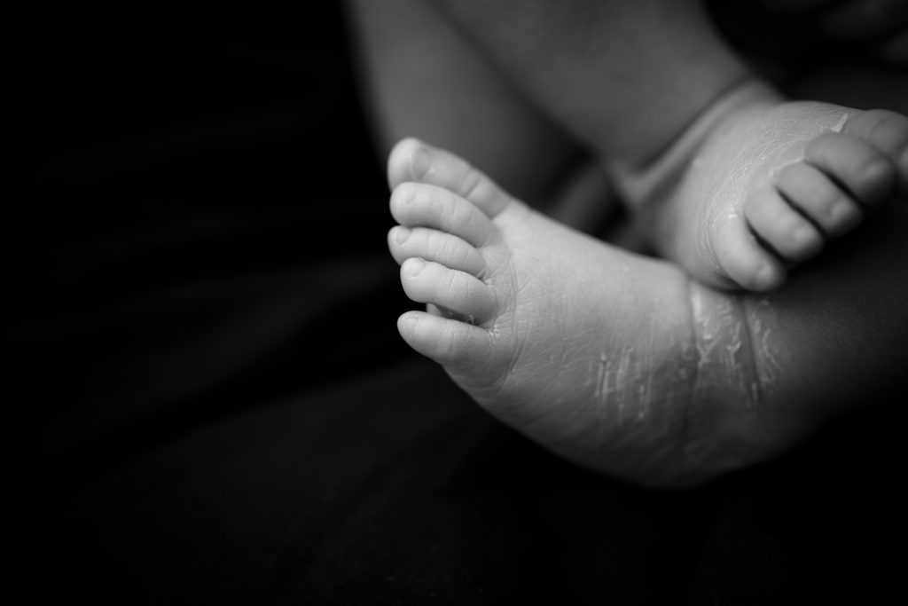 A professional photography studio setup with high-end equipment in North Lakes, serving families from Redcliffe and surrounding areas.