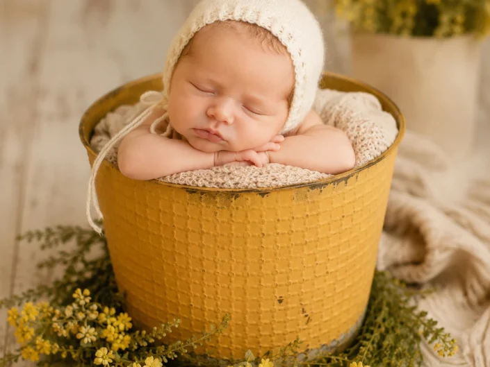 Sleeping newborn in a golden bucket surrounded by yellow flowers at Sweetlife Photography North Lakes